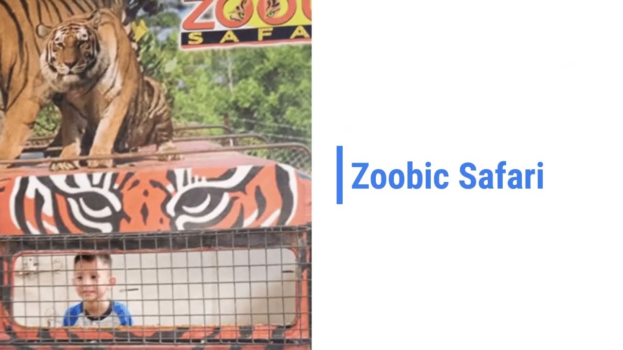 Subic Bay Daily Rental Condos - Reasons Why You Should Go Travel Subic       