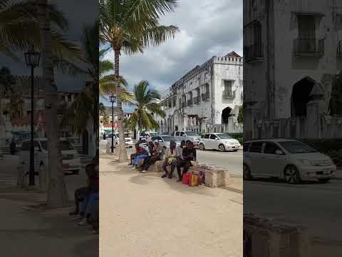 Zanzibar At A Glance Welcome To ZanzibarIsland Paradise On Earth Travelshorts Travel Vlog 