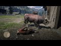 Red Dead Redemption 2_ciflikde 3 gun olay cikdi