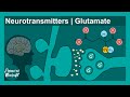 Neurotransmitter: Glutamate | Excitatory neurotransmitter | Neurology lecture series