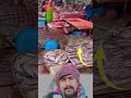 Magarmacch Ne aadami ka Banaya Shikar 🐊🛶🤸 #viral #animals #shorts