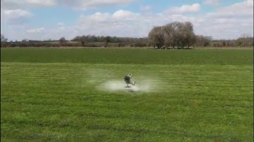 Phoenix rc - Inverted autorotation & blade stop practice