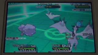 ポケモンxy マリルリ対策 マイナーポケモンで勝つために考えてみた Youtube ポケモンxy マリルリ対策 マイナーポケモンで勝つために考えてみた Youtube