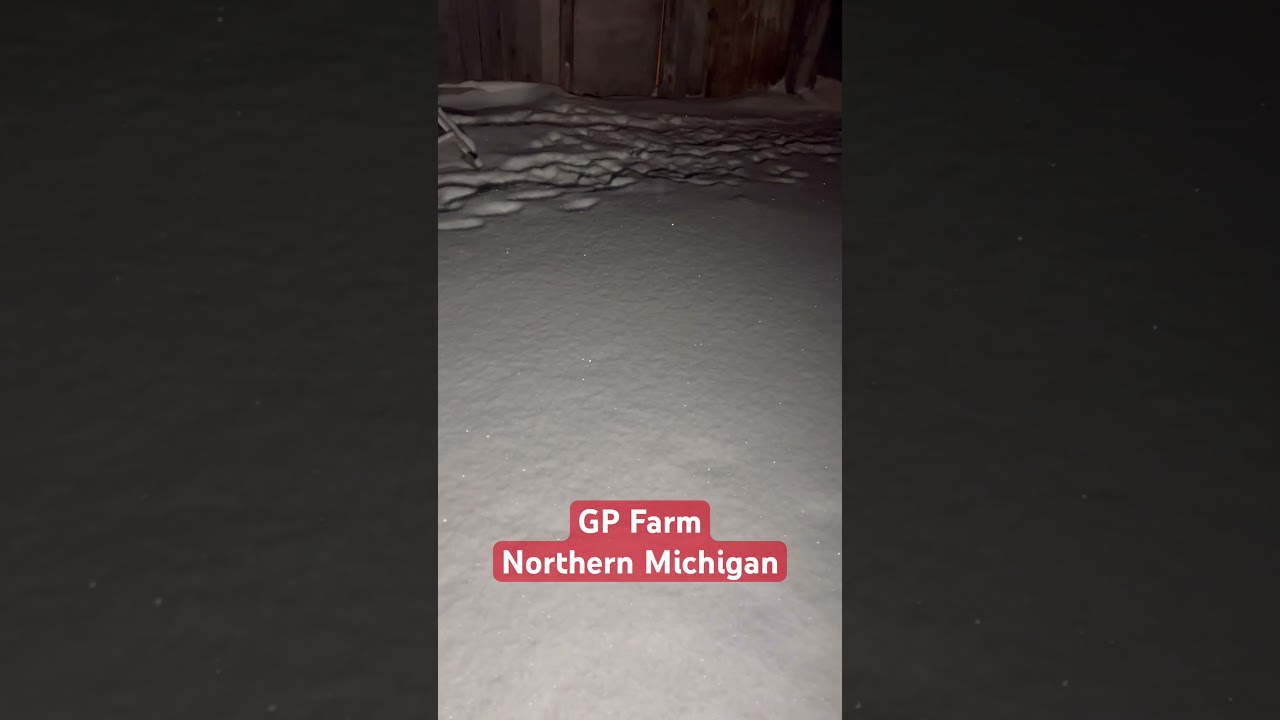 Diamonds in the Snow 