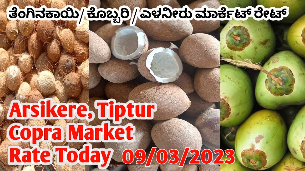 arsikere-tiptur-copra-market-rate-today-09-03-2023-fayazarecanut