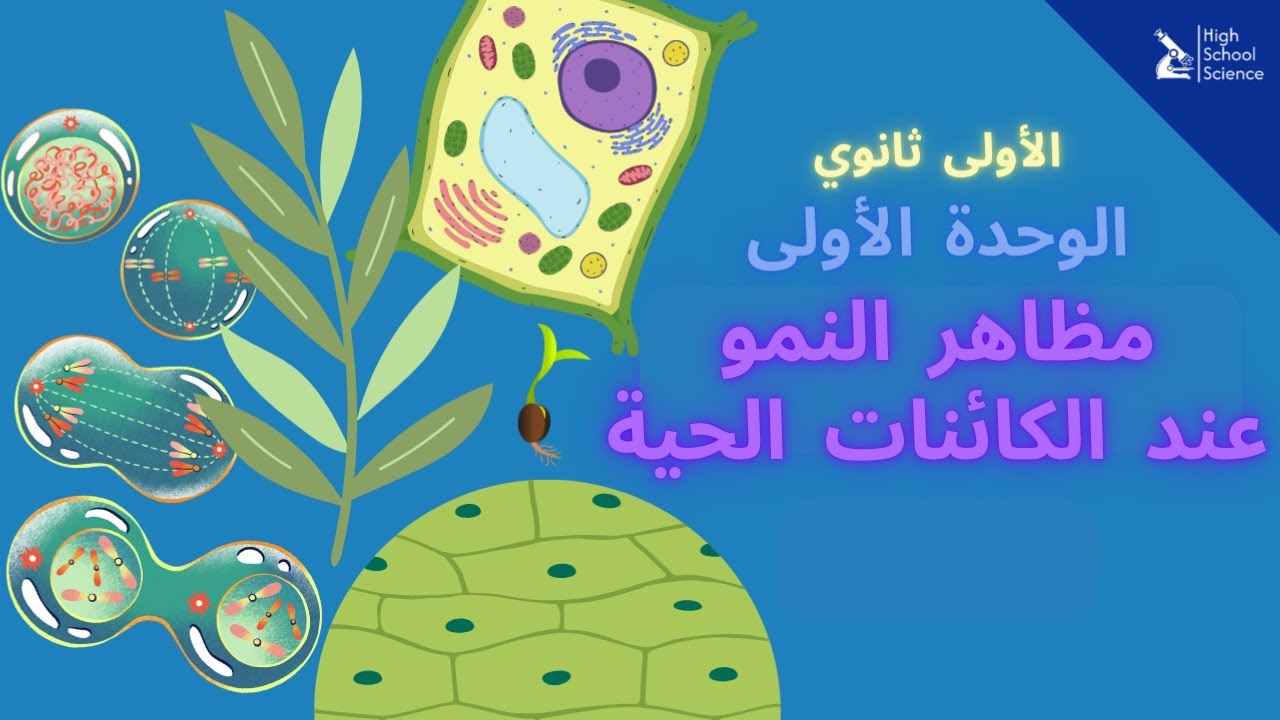 الأولى ثانوي علمي | مظاهر النمو عند الكائنات الحية | 🔶 أفضل شرح 🔥