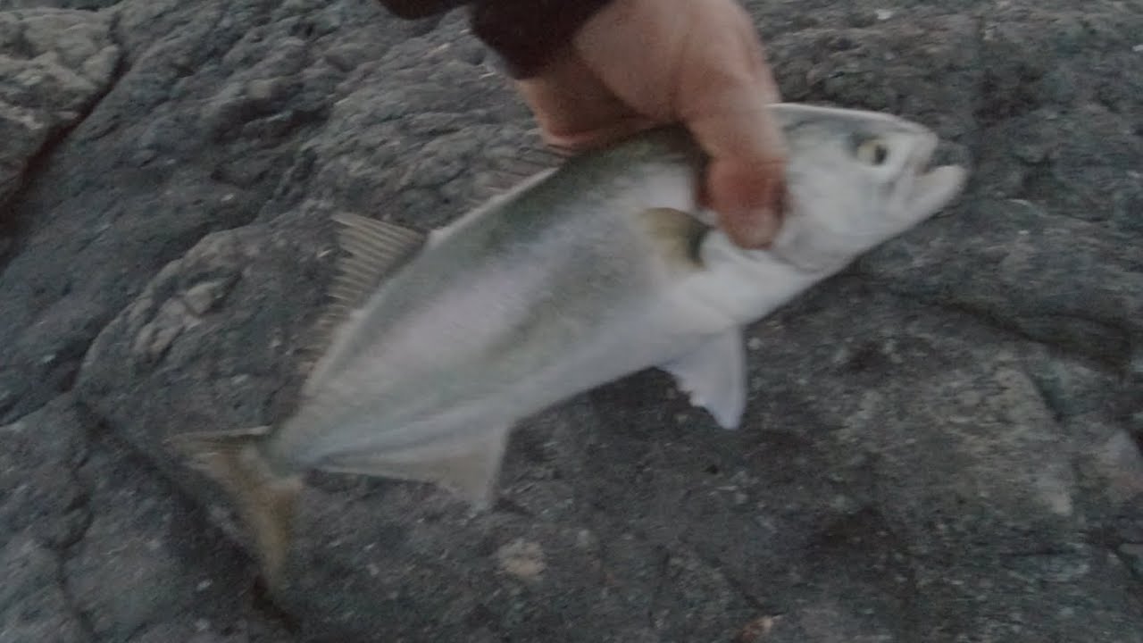 Риболов на лефер - 21.06.25