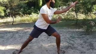 Bagua Snake Exercise, side view