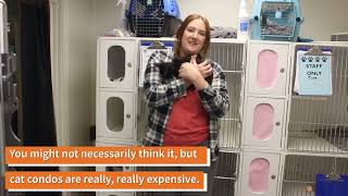 We Must Replace Kitten & Cat Kennels by Berkeley Humane 59 views 1 year ago 50 seconds