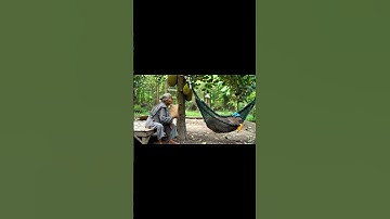 Bà và Capybara | Capy ăn rồi lại nằm #capybara #funny #ytshorts #haihuoc #giaitri #shorts #fyp