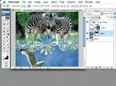 RV Photoshop Tutorial 122: Vector Shapes and Photographs