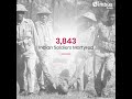 52 Years of March To Freedom! 🌺🙏