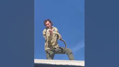 Aussie Snake Catcher Removes 
