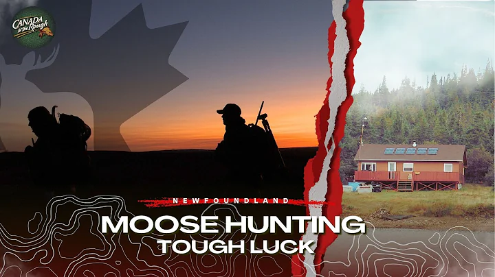 Newfoundland Moose Hunting After Hurricane | Canada in the Rough