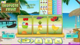 Tropical Fruit Online Slots Game screenshot 3