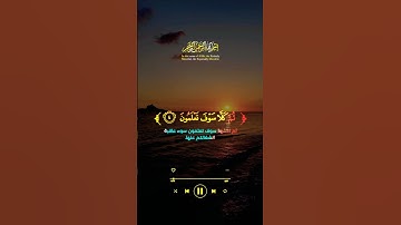 تلاوة سورة التكاثر كاملة الهاكم التكاثر حتى زرتم المقابر #تلاوة #قرآن #قران #الله #كرومات #quran