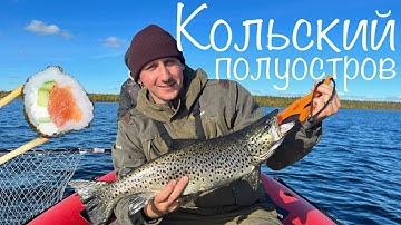 СУШИ ИЗ КУМЖИ! ОТЛИЧНАЯ РЫБАЛКА на Кольском 2025. Осень ч. 2