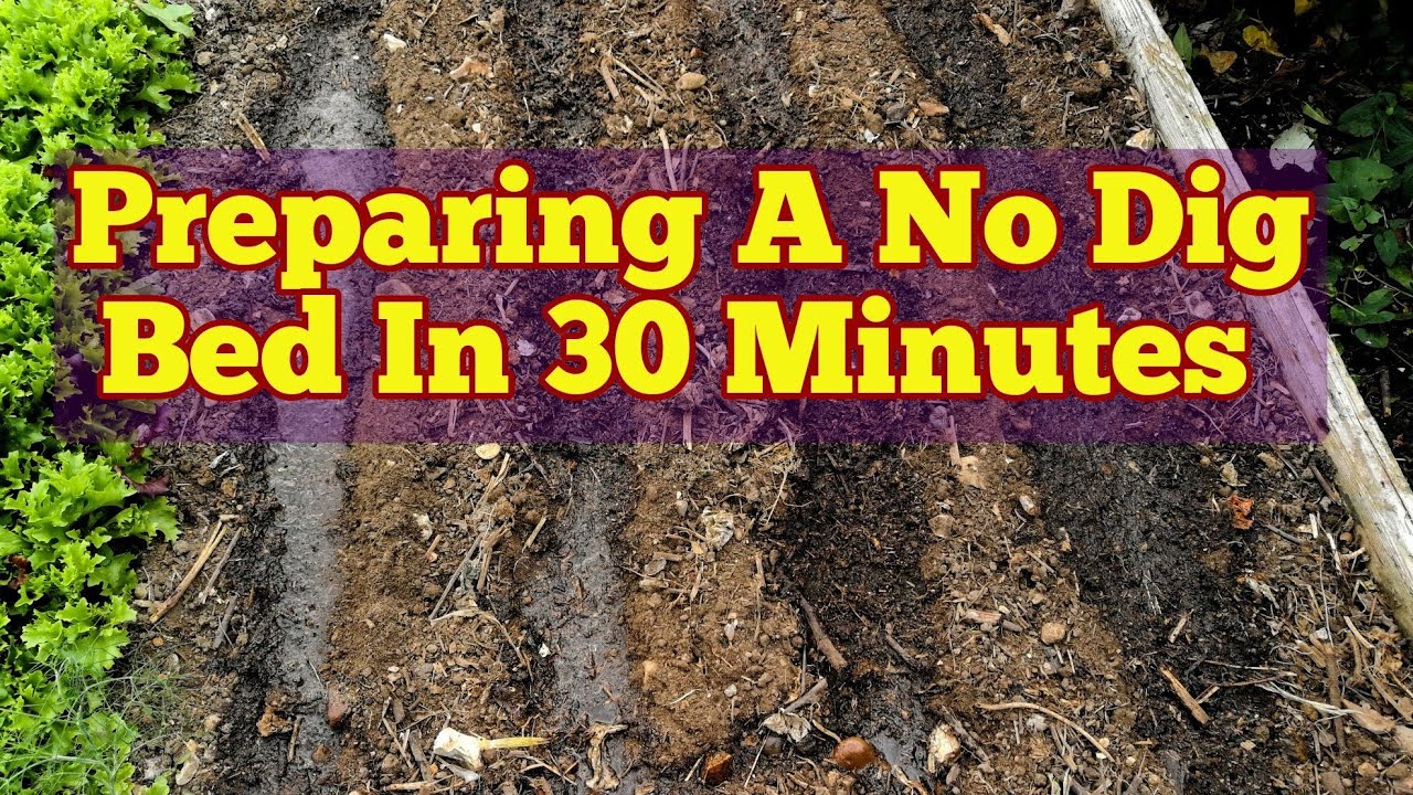 No Dig Construction Method Preparing A No Dig Bed In 30 Minutes By Charles Dowding Method / No Dig ...