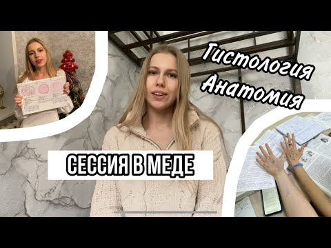 Сессия в меде // Нормальная анатомия и гистология // зимняя сессия на 2 курсе // падения и взлеты