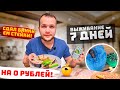 Сколько можно заработать Сдавая Алюминиевые Банки? Выживаю неделю на 0 рублей!