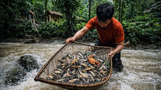What’s Really Hiding in This Fast-Flowing Jungle Stream? | by @chuctonbinh