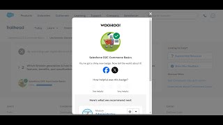 Exclusive Salesforce D2C Commerce Basics | Salesforce Trailhead 2024 | US Guide Profile