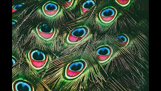 Discovering Creative Pattern - 1984