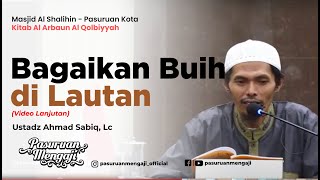 BAGAIKAN BUIH DI LAUTAN (Lanjutan 2) | Ustadz Ahmad Sabiq, Lc