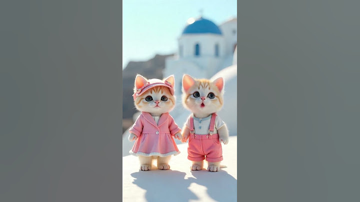 Awww they are so adorable 🥰 #cute #cat #cats #kitten #lipsync #meow #pets #catlover #kitty