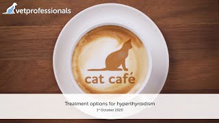 Cat Café: Treatment options for hyperthyroidism 1st October 2020