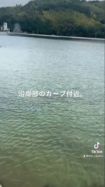 広島県竹原市 的場海水浴場 ブッコミ釣り たいようのしっぽさんとコラボ 広島釣り 瀬戸内海釣り アナゴ釣り 的場海水浴場 たいようのしっぽ Youtube 広島県竹原市 的場海水浴場 ブッコミ釣り たいようのしっぽさんとコラボ 広島釣り 瀬戸内海釣り アナゴ釣り 的場海水浴場 たいようのしっぽ Youtube
