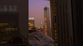 Where Are You Sleeping All Day..?