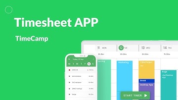 TimeCamp Essentials: Timesheets
