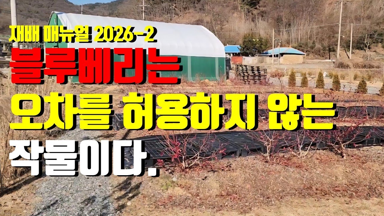 블루베리 재배 매뉴얼 26-2, 블루베리는 오차를 허용하지 않는 작물이다. 토양 산도, EC, 수분 관리 방법