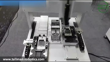 Linear Gantry Robots, Multi Axis Linear Modules from Tallman Robotics Limited