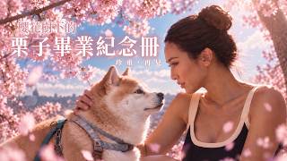 16年摯愛化羽成仙：她親手送栗子最後一程的完整告別