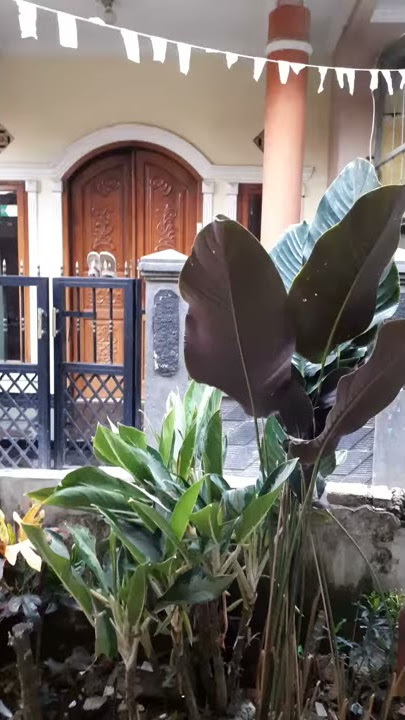 Tukang opak yg punya suara merdu