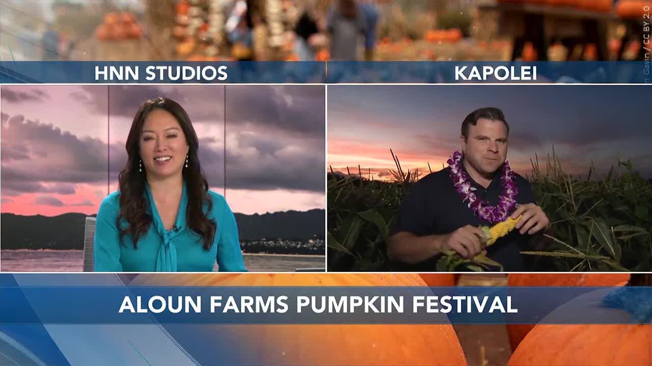 It’s that time of year: Aloun Farms’ pumpkin festival returns with cobs ...