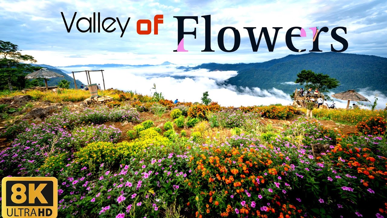 फूलों से रंगी हुई परियों की ज़मीन: फूलों की घाटी खोजें | Explore the Valley of Flowers |