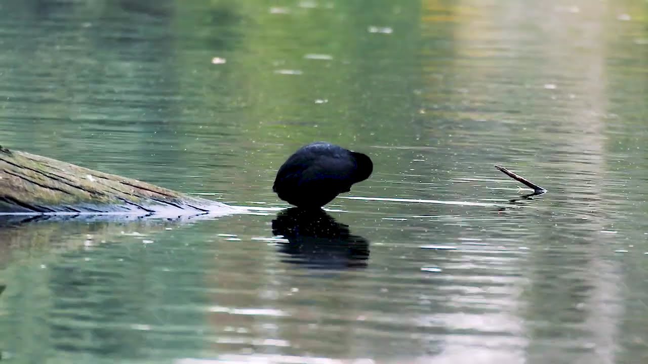 Athalassa National Park