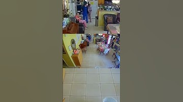 The Warning Shot We Ignored: The 3.3 Foreshock