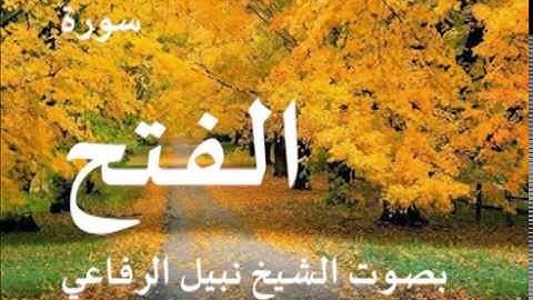 سورة الفتح بصوت الشيخ / نبيل الرفاعي 48