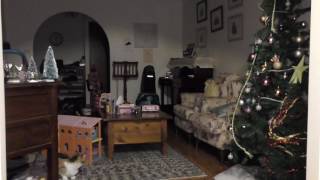 Spinning Orb Proof M1650007 2
