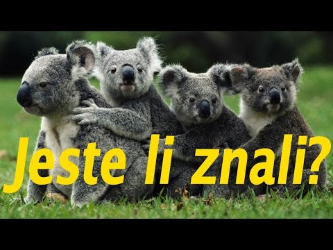 Ljute Činjenice -  Opasna Priroda i Društvo