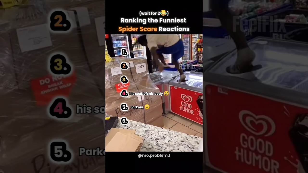 Ranking the funniest spider scare reactions