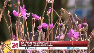 Rộn ràng không khí mua sắm Tết  - Tin Tức VTV24