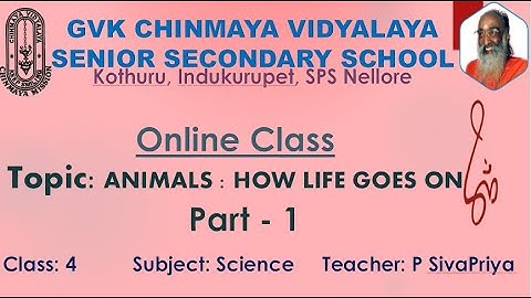 GVKCV ONLINE CLASS: ANIMALS: HOW LIFE GOES ON PART 1 ( CLASS 4 SCIENCE)
