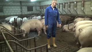 Aflevering 4 De Dragende Zeugen