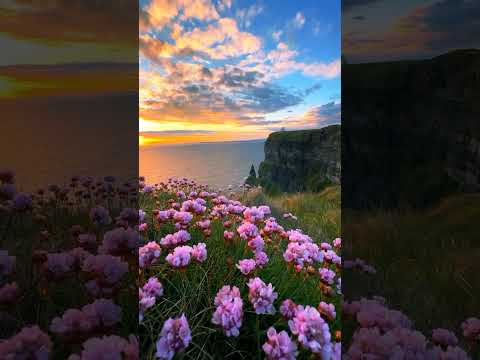 O Meri Laila-Atif
