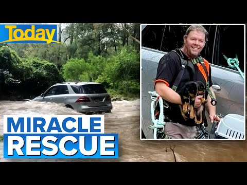Video: Puppy de 5 luni salvat de la inundațiile din Houston
